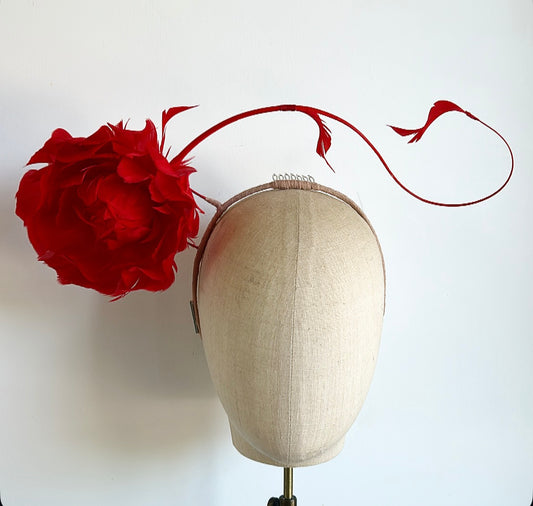 Ruby floating Rose